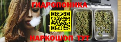 прущие крисы Свободный