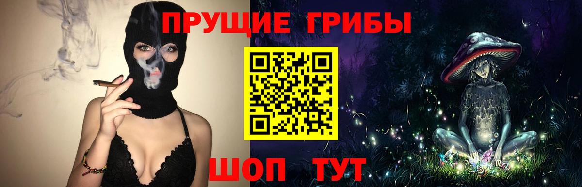 Светлоград  Псилоцибиновые грибы Magic Shrooms  Вход с VPN 